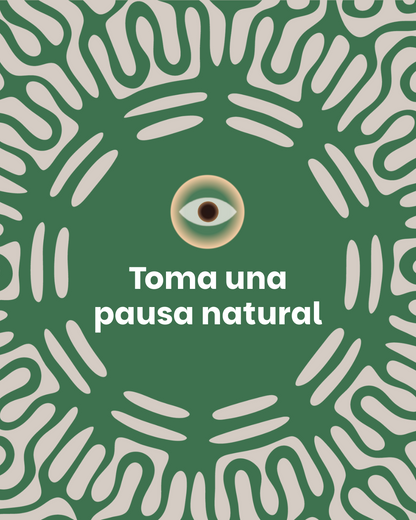 Relax - Kava en Polvo Natural | Relajación sin Alcohol | Kalma México
